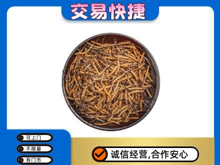 荷塘区礼品回收虫草.jpg